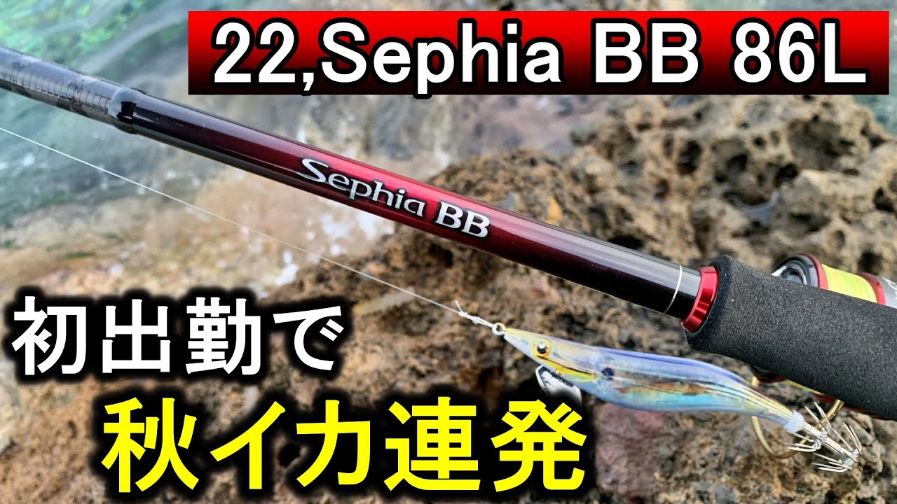 I was getting frustrated so I bought the new Sephia BB and got