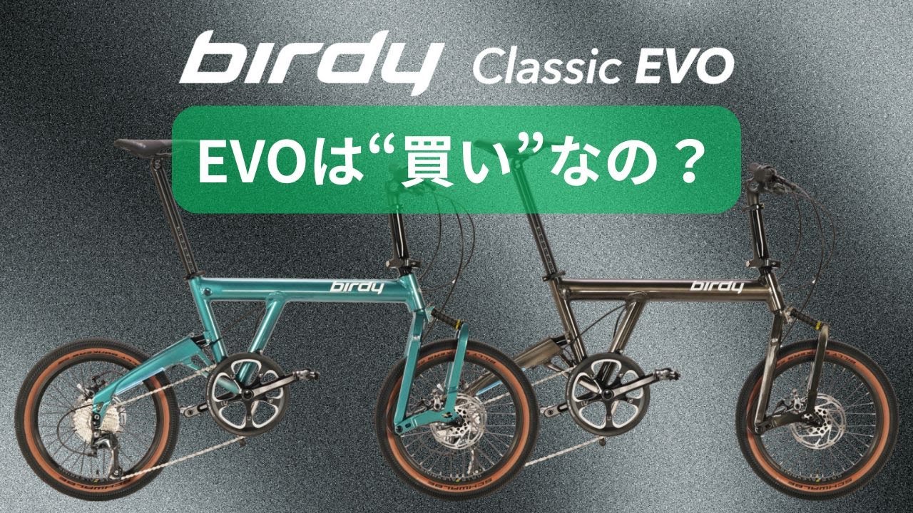 Should I buy it?] Birdy Classic EVO Review: An honest explanation