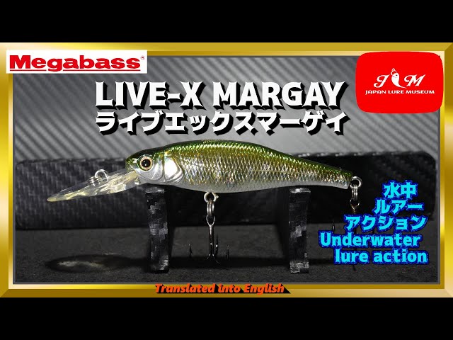 水中動画】【LIVE-X MARGAY】20年以上前、世に産み出されたシャッドが