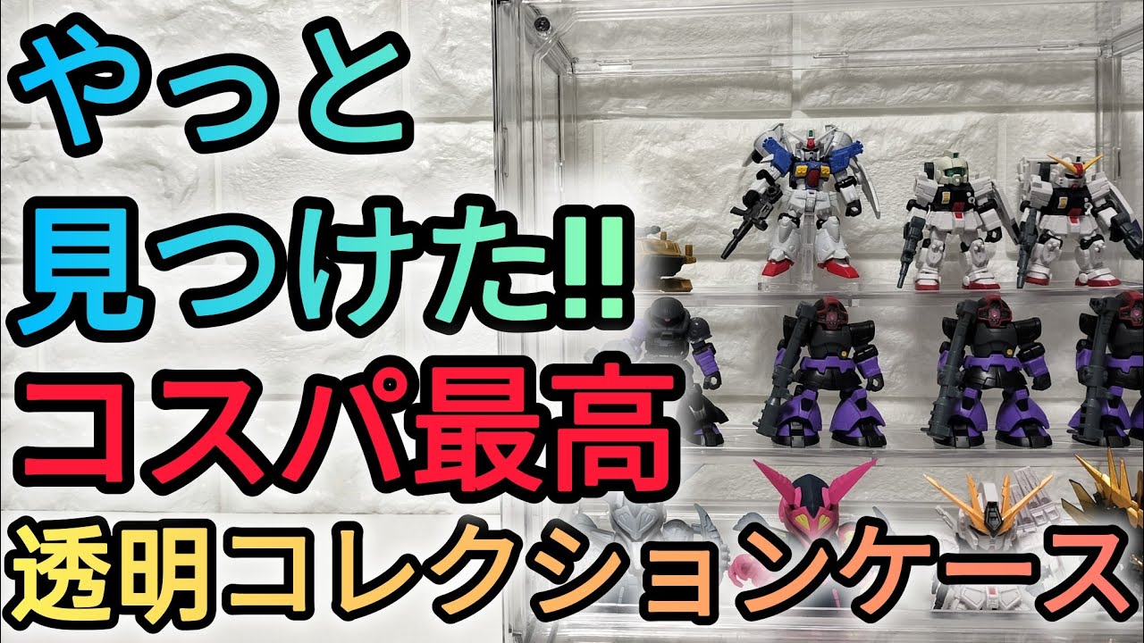 Review of the DAISO transparent collection case! - YouTube