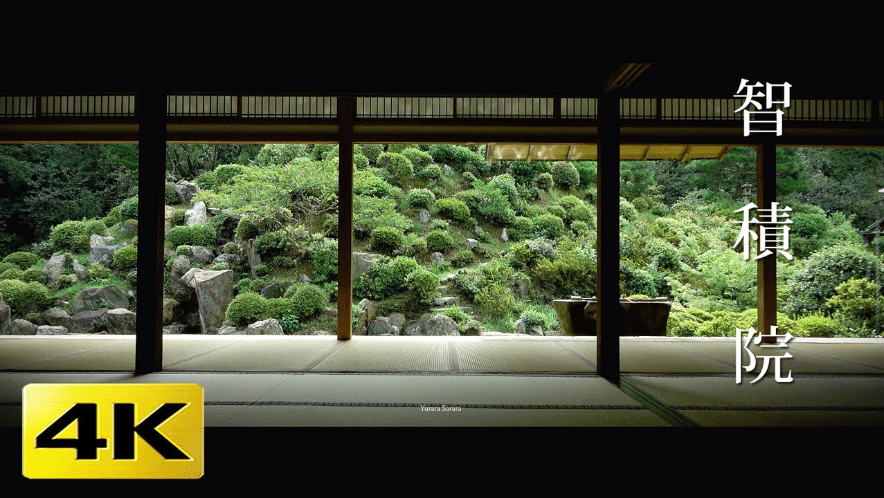 4K] 智積院 京都の庭園 Chishaku-in [4K] The Garden of Kyoto Japan