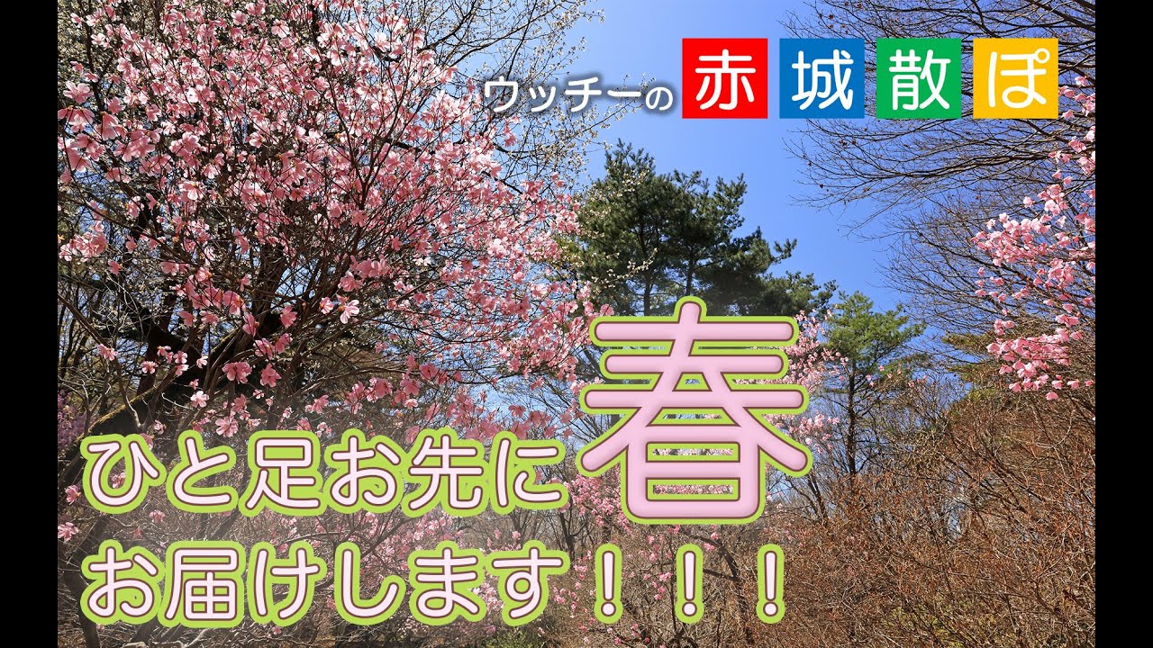 赤城の森の豊かさに触れる ～自然と人が共生する世界～｜SAISON NEWS