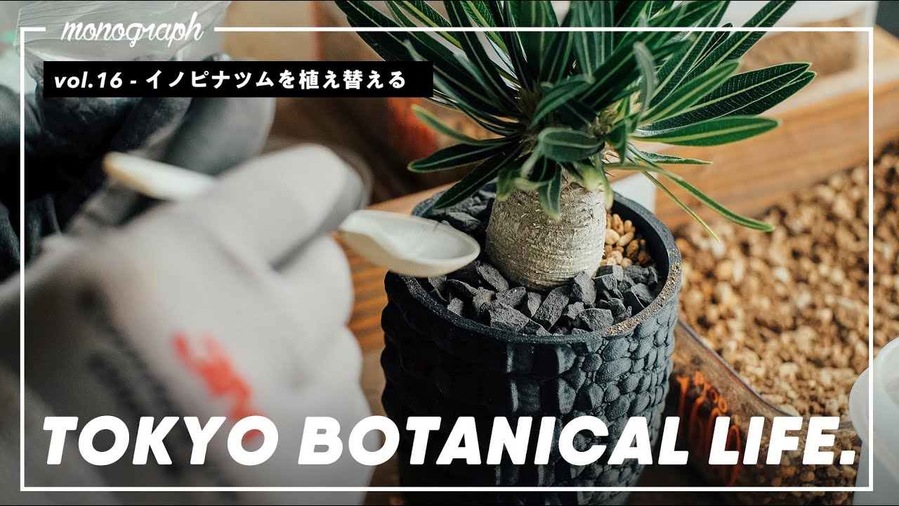 TOKYO BOTANICAL LIFE - vol.16 Planting Inopinatum in a 3D printed