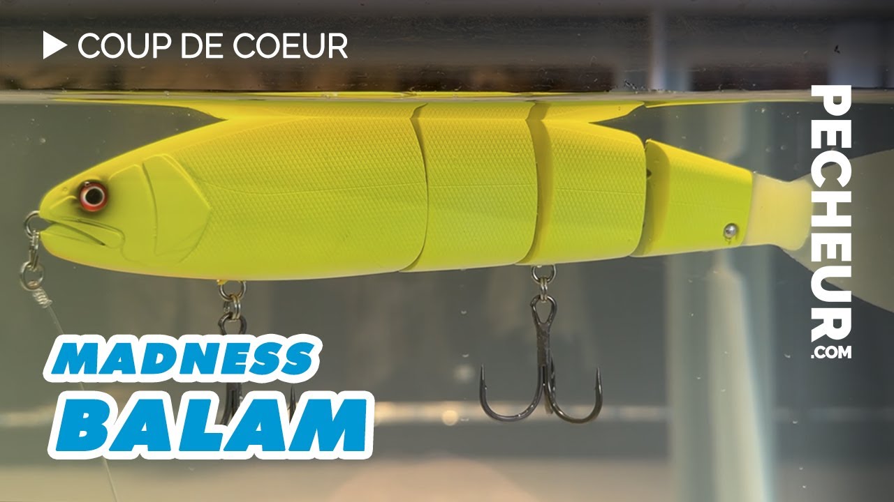 ビッグベイトレビュー動画】バラムヴァリアンテ255 （BALAM