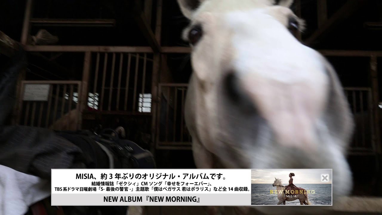 NEW MORNING | DISCOGRAPHY | 【公式】MISIA | MISIA OFFICIAL SITE
