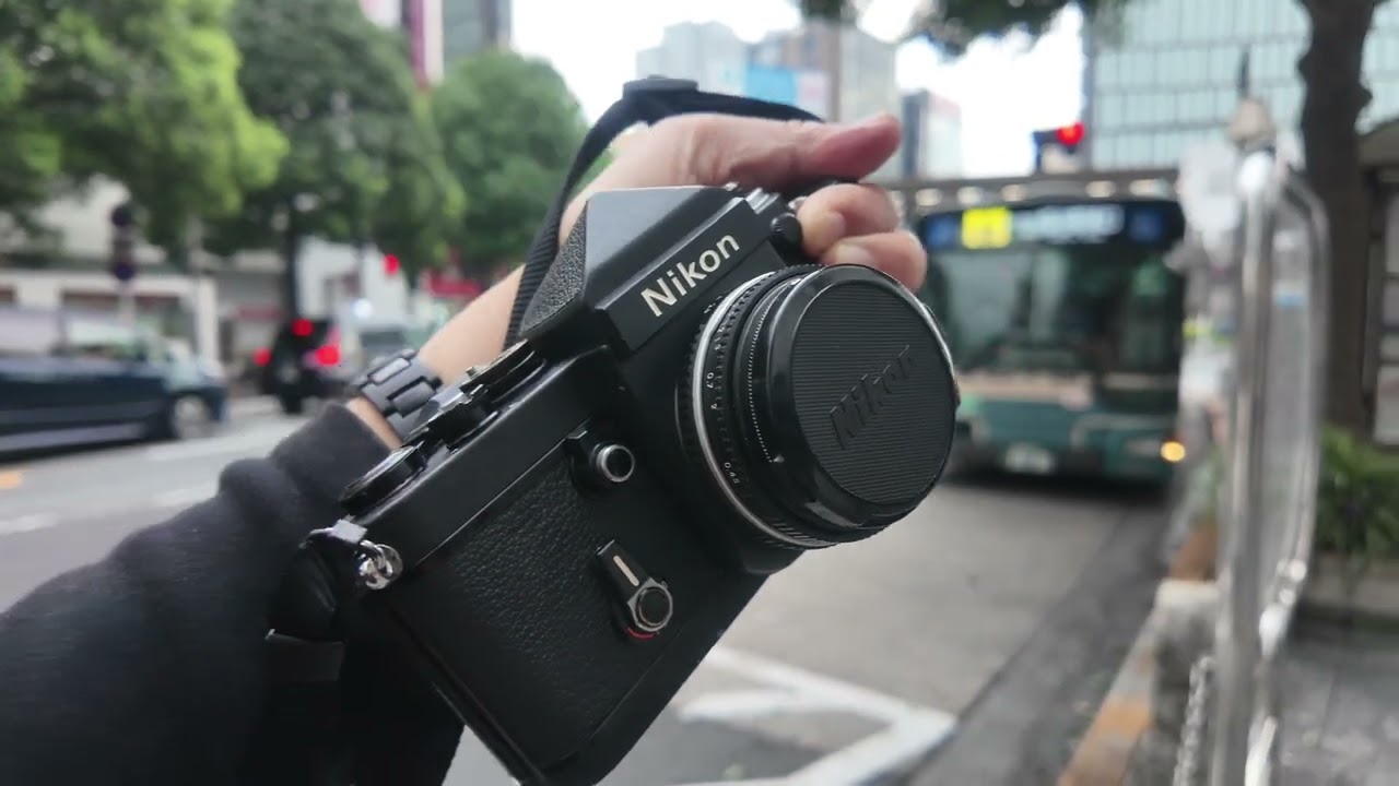 An afternoon of searching for Nikon with 