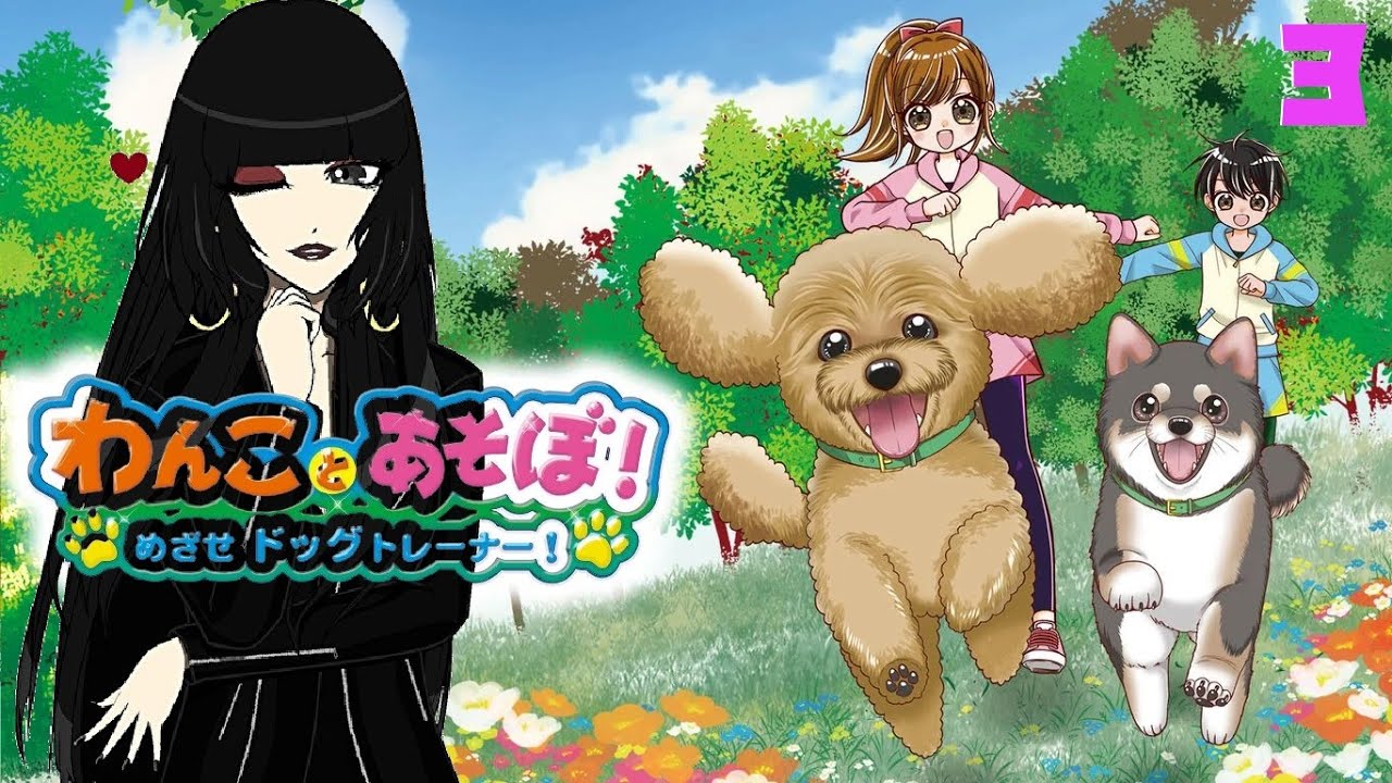 わんことあそぼ！】オネェさんがわんこと戯れます！？【めざせドッグ