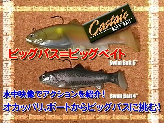 キャスティーク ソフトベイト 魚がわいて来る体験をして下さい The