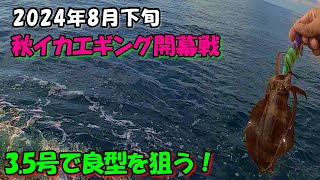 2024年秋イカエギング開幕戦＃01】3.5号のエギで良型のアオリイカを