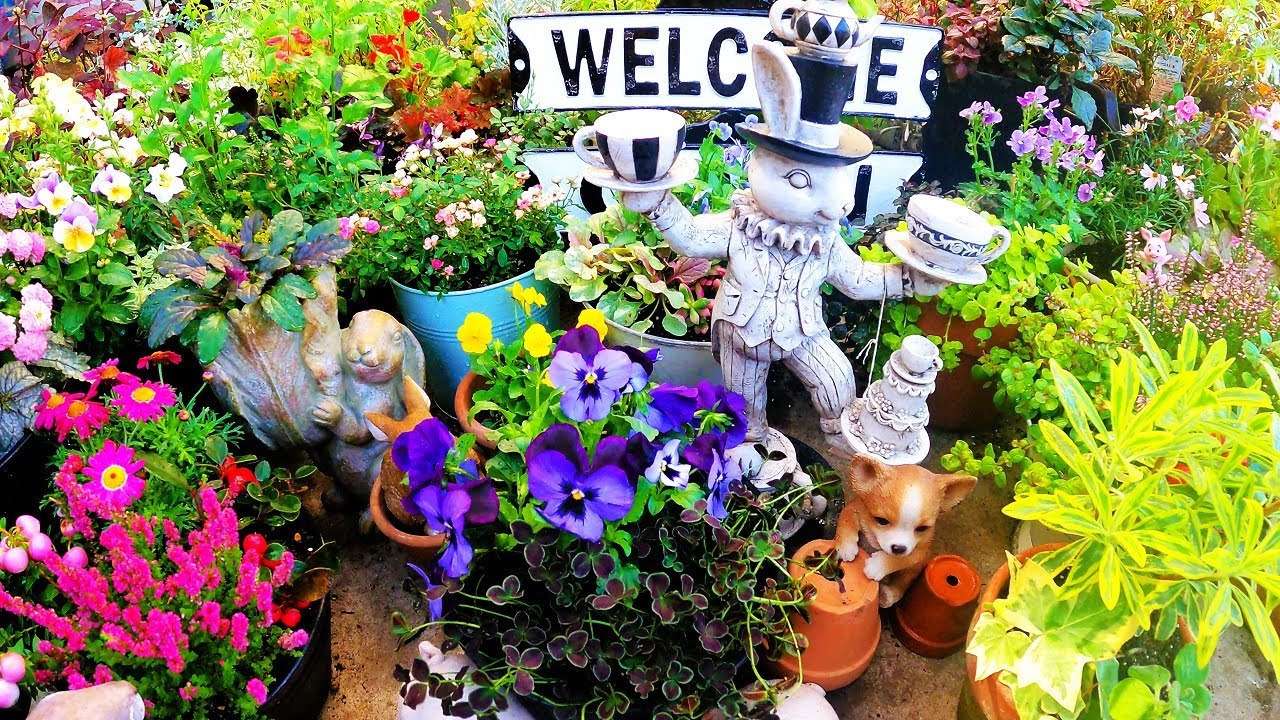 よく咲くスミレ、プリンセスクローバーダークデビー寄せ植え