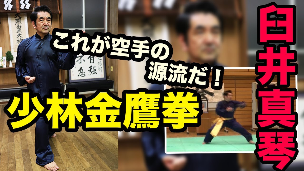 日中伝統武術界の魁 佐藤金兵衛翁が伝え遺した中国南派拳術！ 空手の