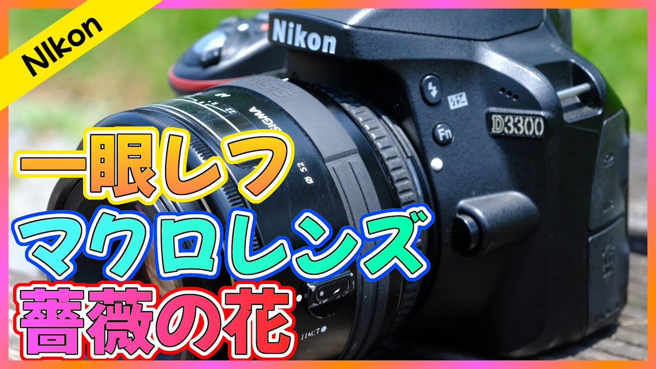 Nikon】一眼レフでマクロレンズ撮影！マニュアルフォーカスは大変