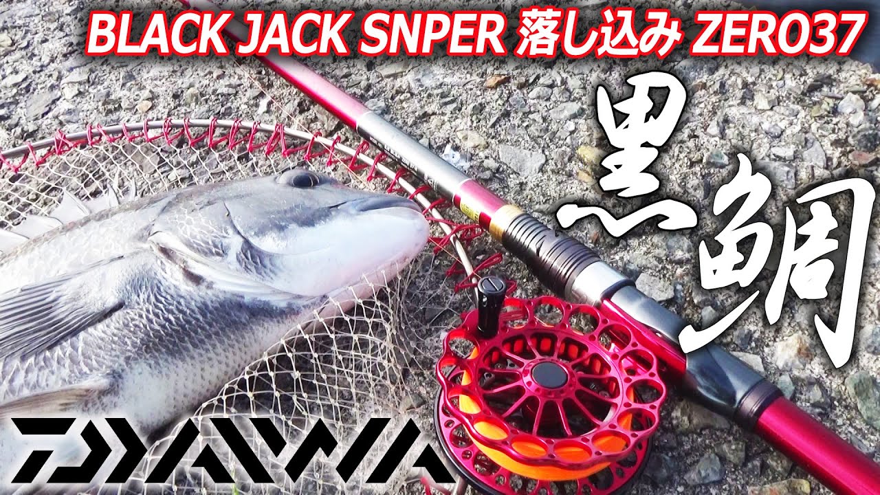 黒鯛落とし込みDAIWA「BLACK JACK SNIPER 落し込みZERO37」ロッド