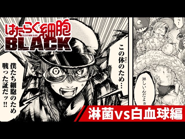 English sub]Cells at Work! Code Black -Gonorrhea & White Blood