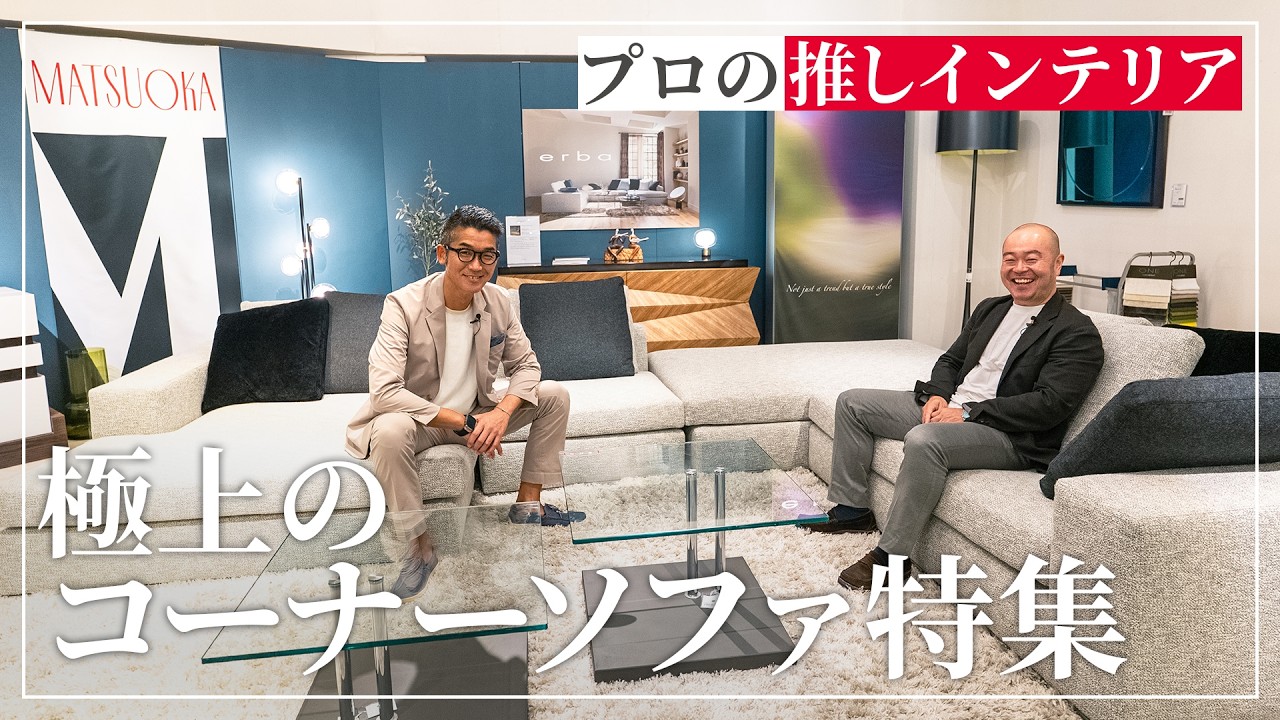 himolla（ヒモラ）電動リクライニングソファ「プラノポリー」幅224cm