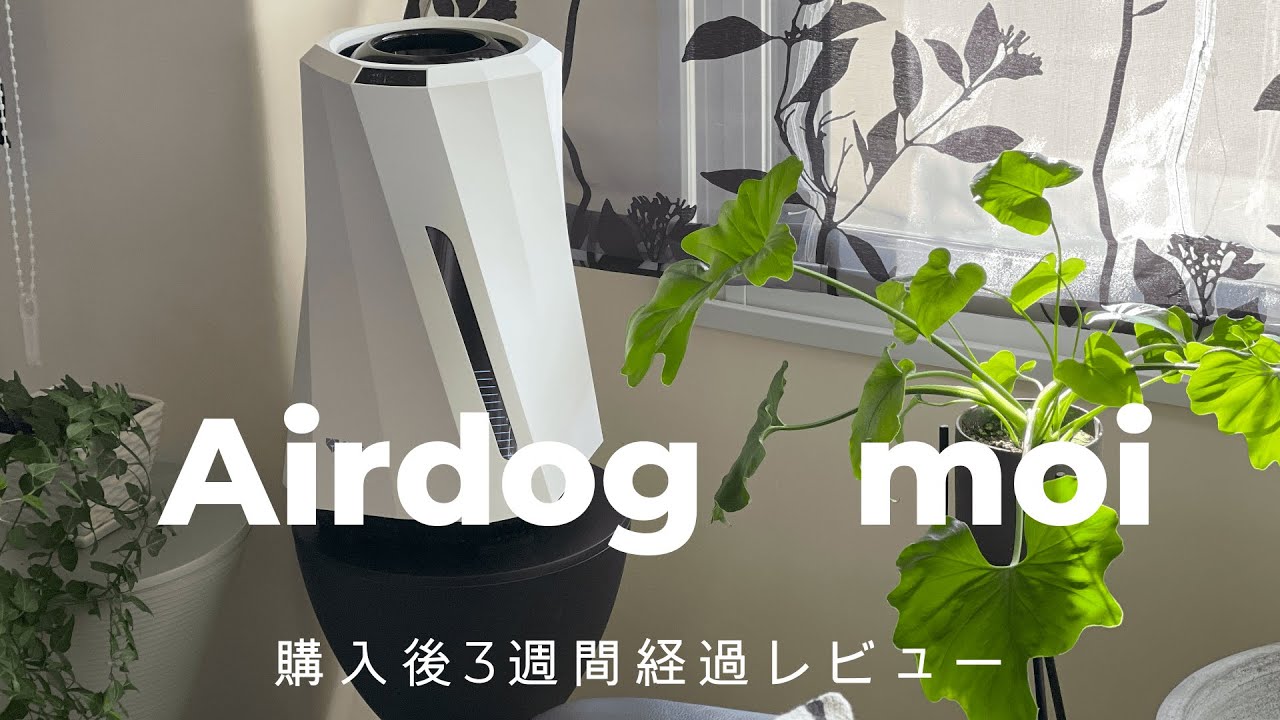 高性能加湿器 Airdog moi 購入後3週間経過レビュー】気になる動作音