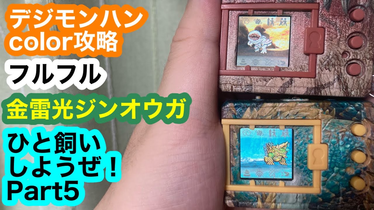 デジモンハンcolor フルフル 金雷光ジンオウガ ひと飼いしようぜ