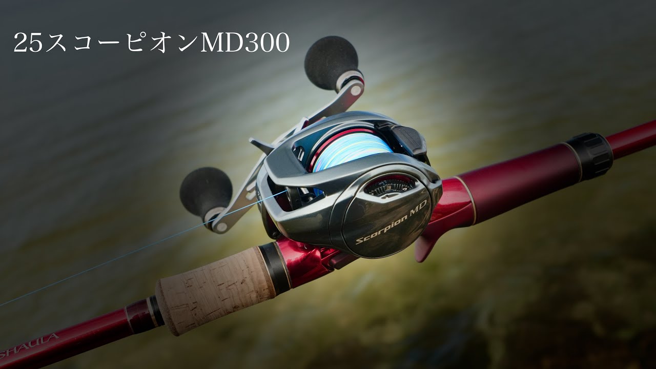 What is this? Amazing 25 Scorpion MD300 [Test throw impressions