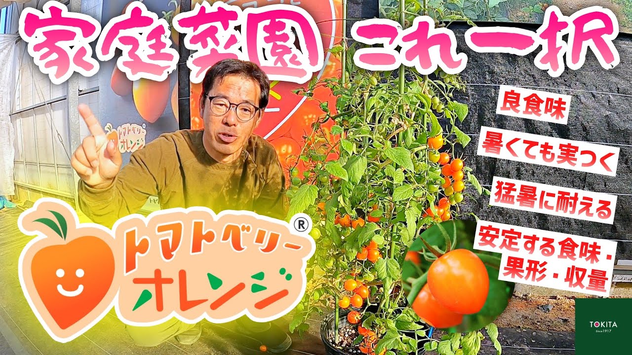 Great even in the heatwaves!] Introducing 