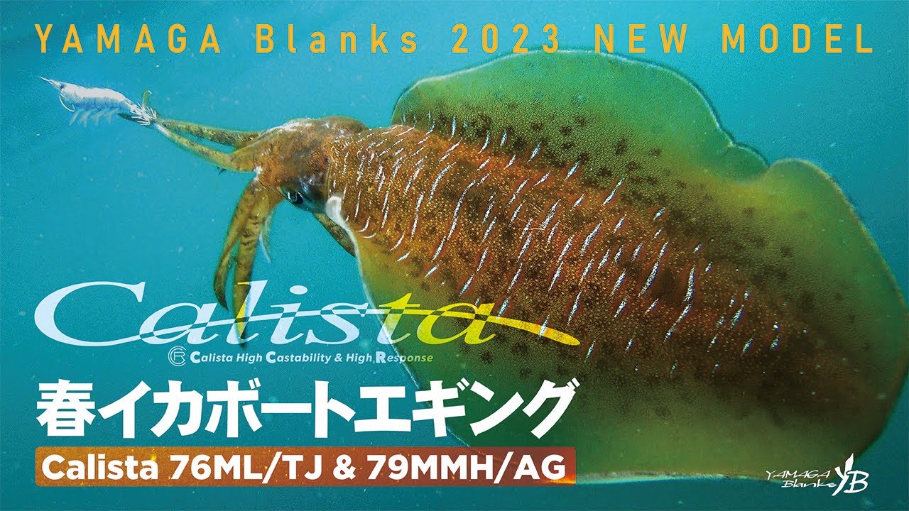 フィールドスタッフレポート】Calista 76ML/TJ × シーズン終盤戦