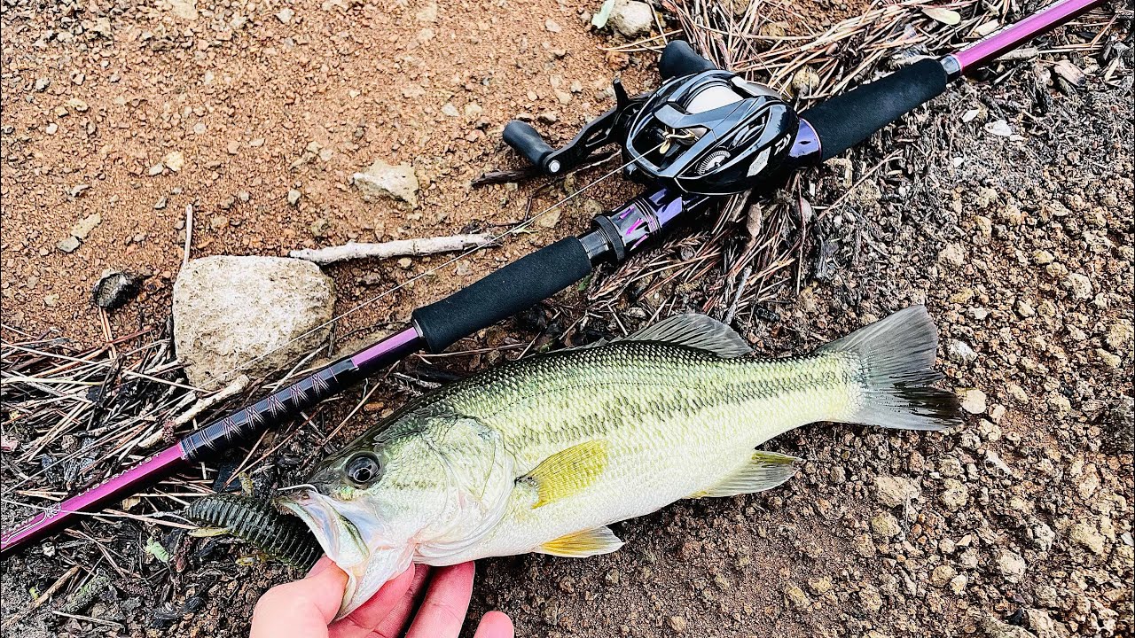 803M+RSB-22] Heartland Liberalist's first impressions!! Talk video