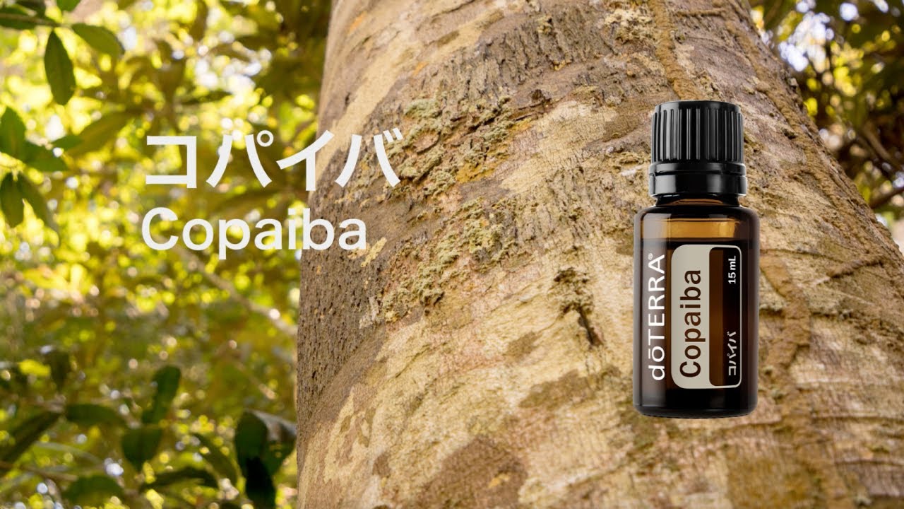 コパイバ - doTERRA TIMES
