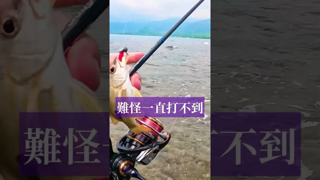 Poseidon Salty Sensation Neo 76M，意外新郵票#根魚#evergreen