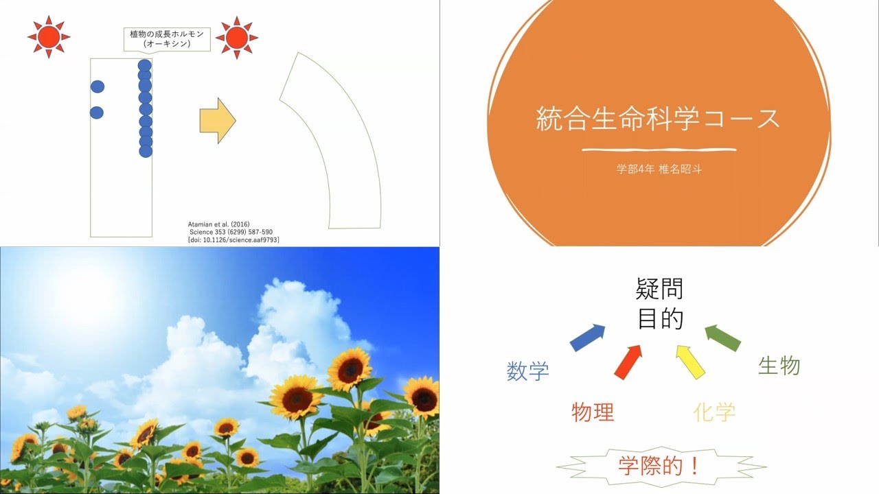 統合生命科学コース - 東京大学教養学部 統合自然科学科