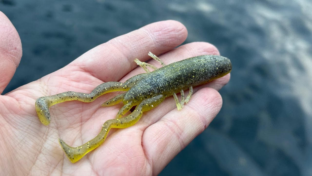 水中映像あり】このワームが連発劇を生み出す！【DCシュリンプ】 - YouTube