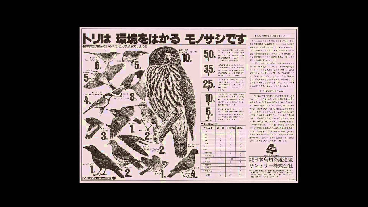 サントリーの愛鳥活動『愛鳥キャンペーン新聞広告』 2分55秒