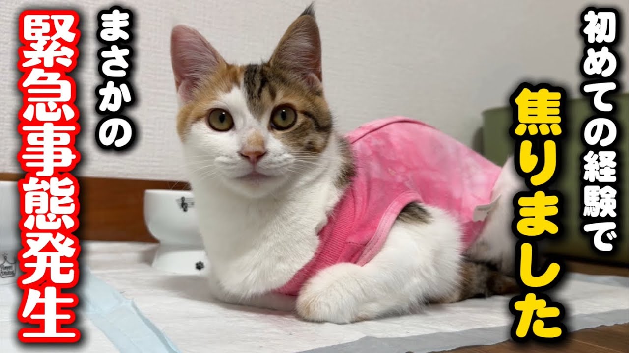 I was very worried about the sudden situation in front of the