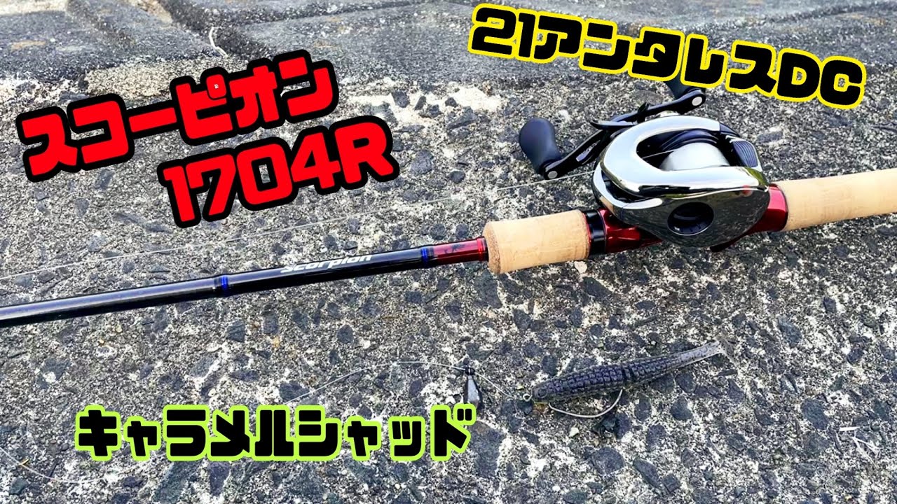 21 Antares DC + Scorpion 1704R + Caramel Shad [Bass Fishing] - YouTube