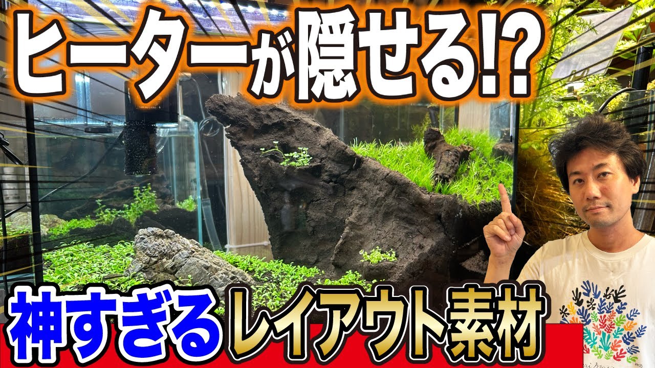 DEZERT 「変」「飼育部屋」 DEZERT 「変」「飼育部屋」 DEZERT 「変