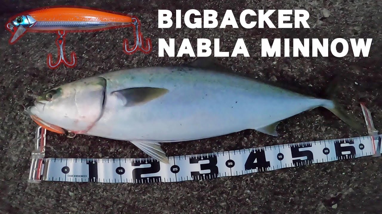 ビッグバッカー湾岸ミノーのインプレ！セットアッパーと飛距離の違いは