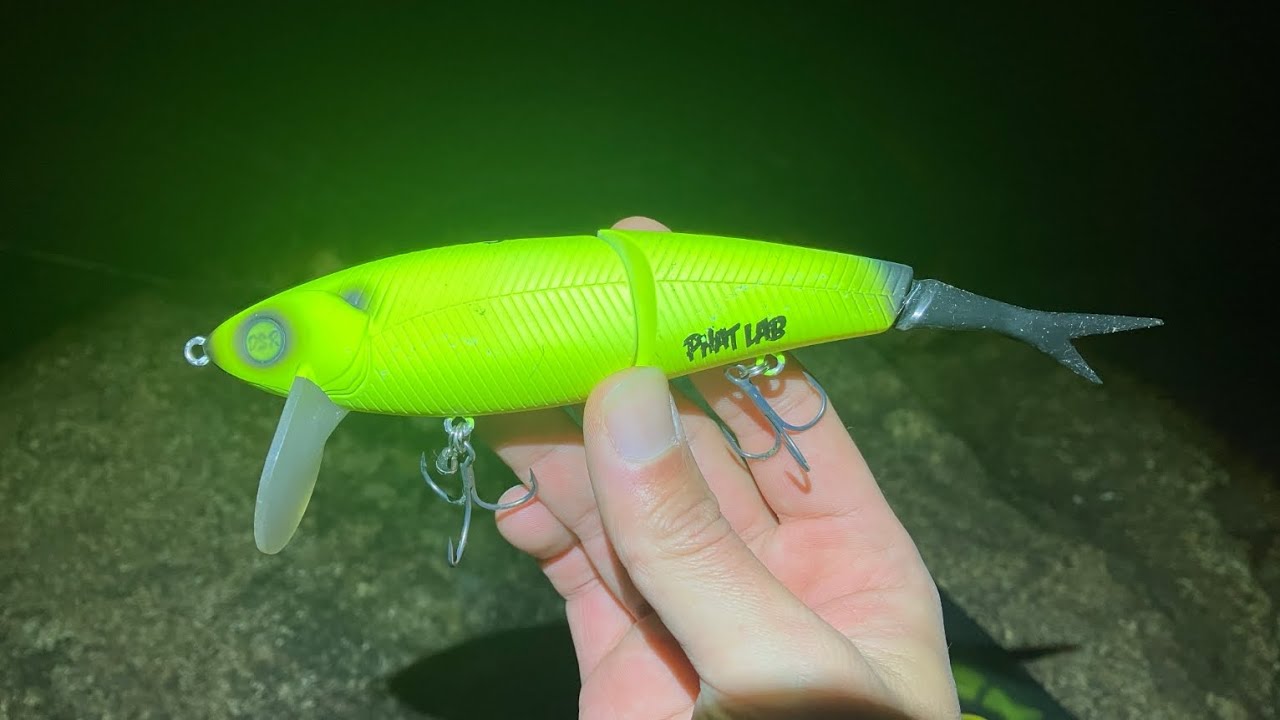 57cm] Dead slow fishing with Nekosogi DSR. Even beginners can use