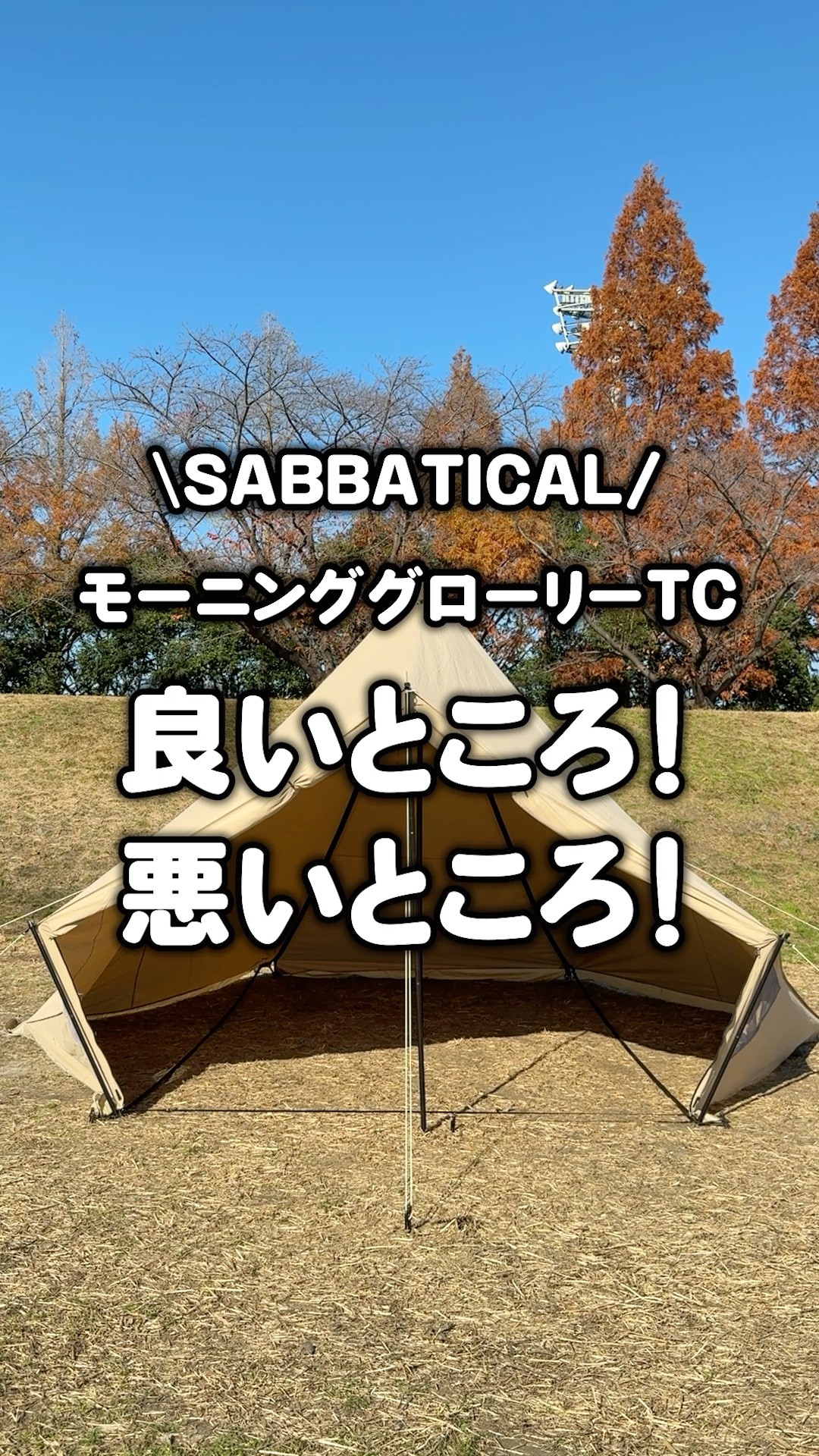 Sabbatical Morning Glory TC Good and Bad #shorts - YouTube