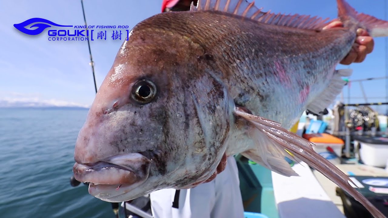 剛樹公式YouTubeチャンネル解説。 | 真鯛職人の世界！