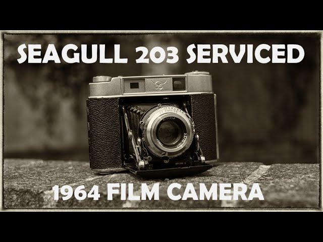 Seagull 203 Folding Film Camera - SERVICED and TESTED - YouTube