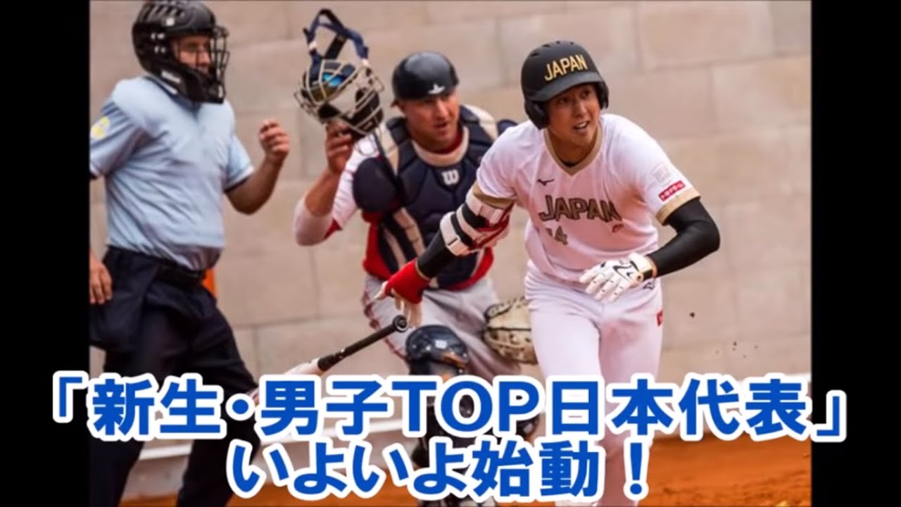 ソフトボール 2019 男子TOP日本代表・高橋速水 投手のピッチング