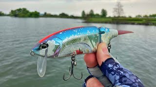 Bass Fishing] I did a certain tuning to my Tiny Crash and caught a