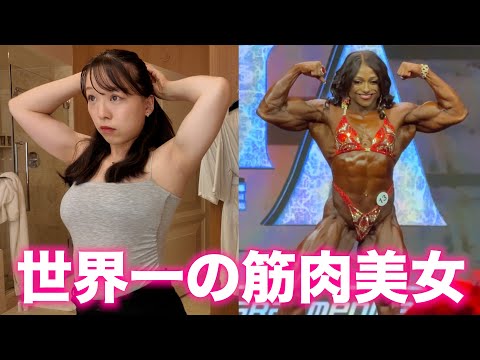 imoちゃん - YouTube