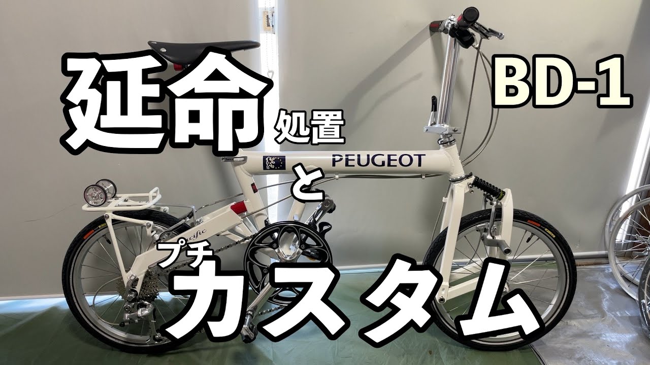 BD-1（PEUGEOT Pacific）を生涯大切に所有していく為の延命措置とぷち