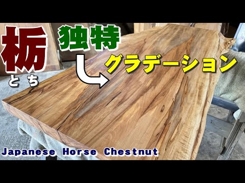 独特なグラデーション】トチ一枚板×オイル仕上げ【木の店さんもく】How