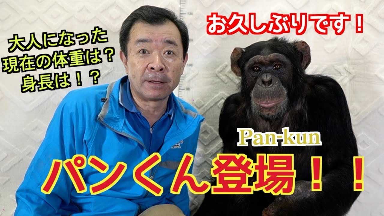 Pan-kun's New Year 2026 🎍 [Part 2] Delighted with Kagawa