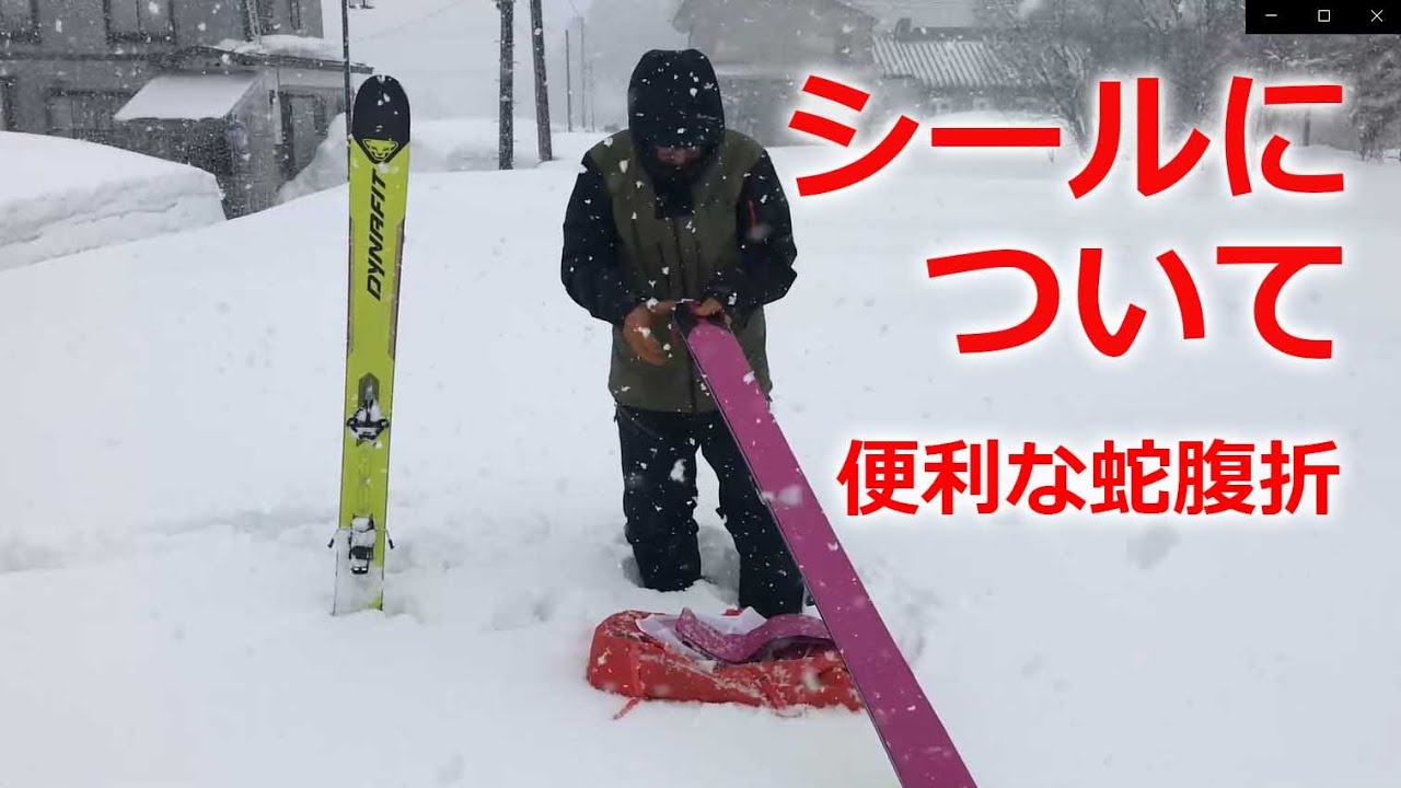 How to fold ski skins (climbing skins) - Convenient accordion fold