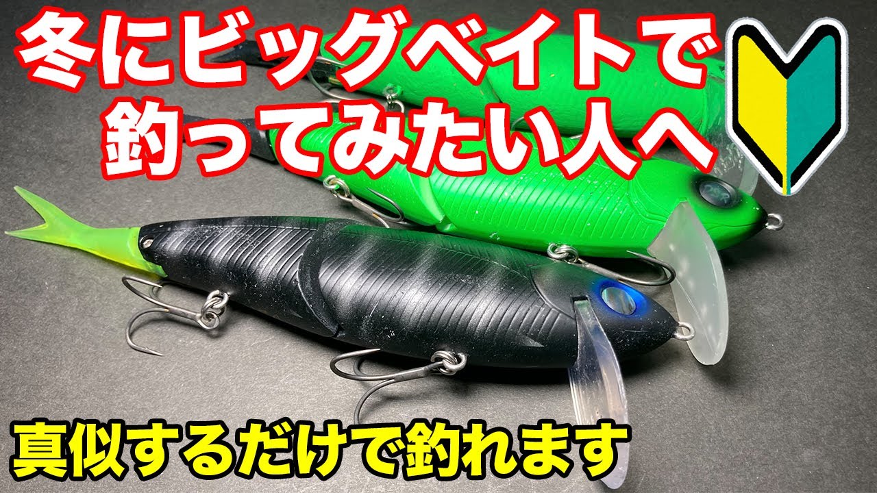 冬にビッグベイトでデカバスを釣るなら！巻くだけで釣れるネコソギDSR