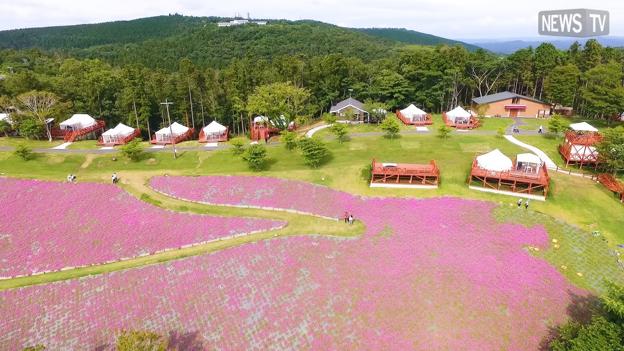 新オープンの『マザー牧場 グランピング THE FARM』でボリューム満点の