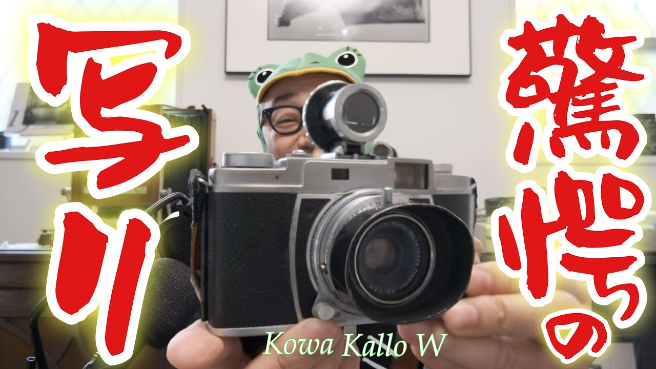 フィルムカメラ】Kallo W(カロワイド）後編📷✨購入の際のコツも