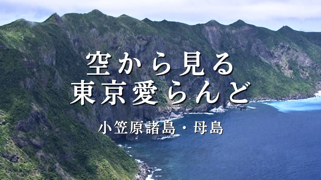 空から見る東京愛らんど（空撮映像）を公開しました | お知らせ | 伊豆