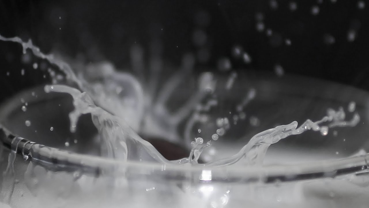 Canon EF 50mm f/2.5 Compact Macro lens Samples - YouTube